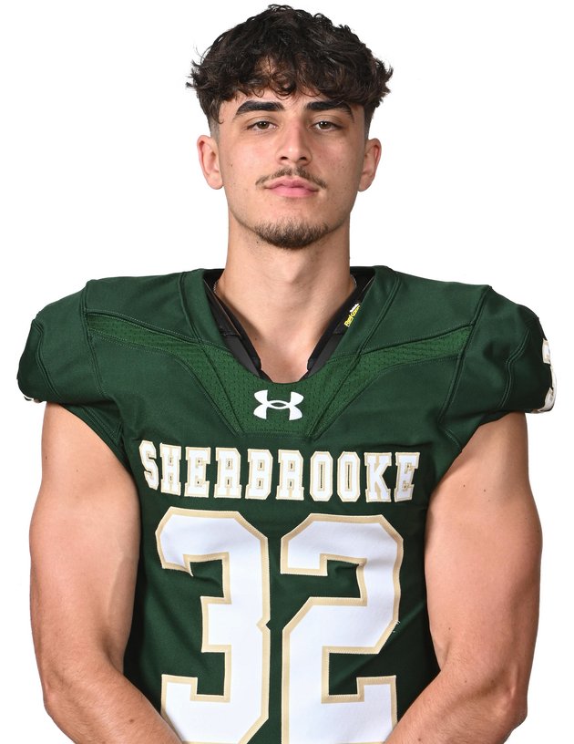 vert et or football