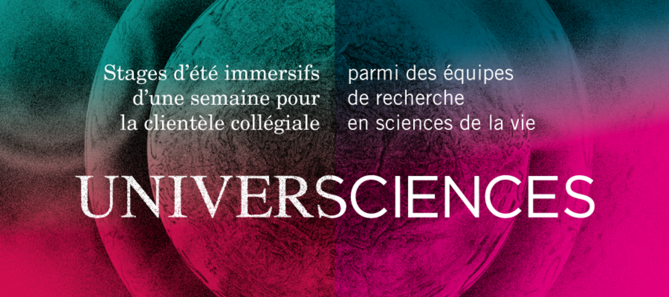 Programme de stage estival UniverSciences